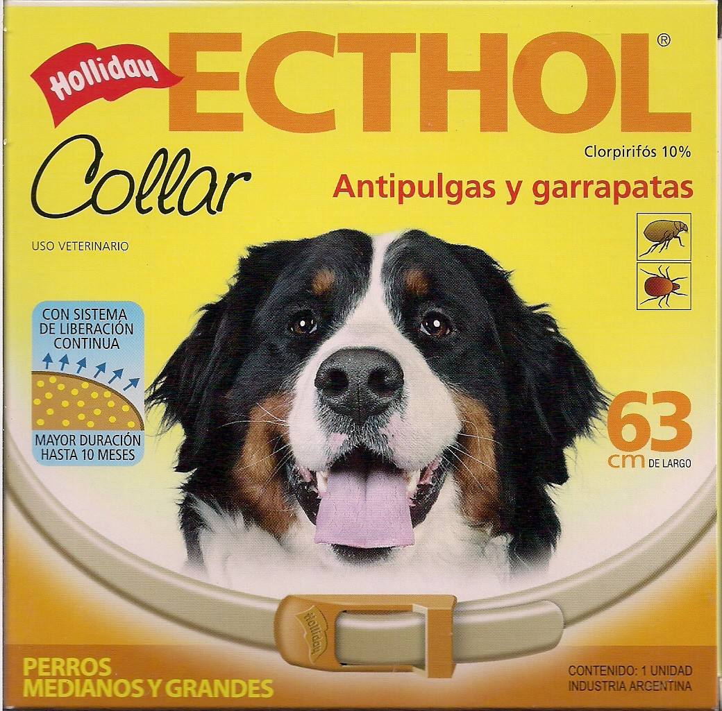 ECTHOL COLLAR PERROS