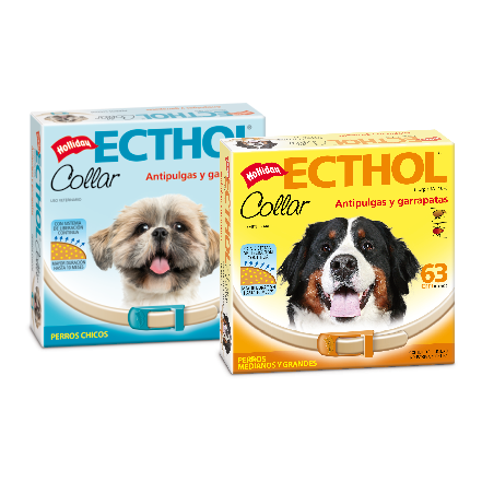 ECTHOL COLLAR PERROS